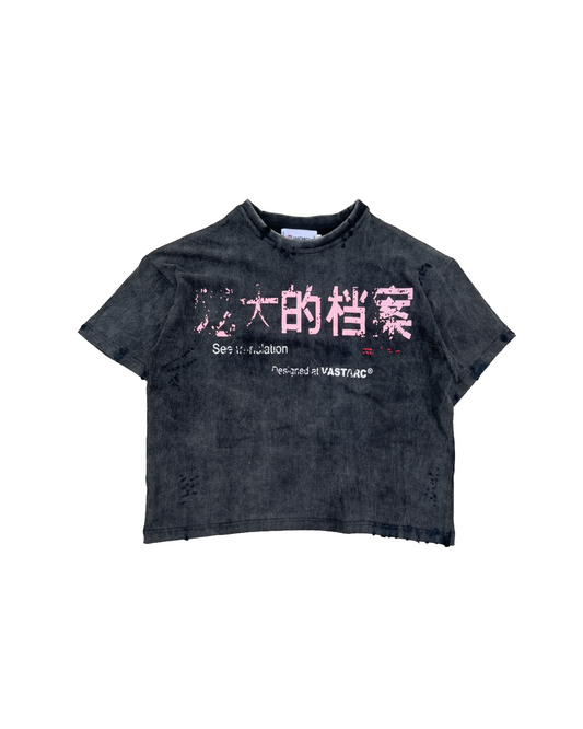 TRANSLATION TEE